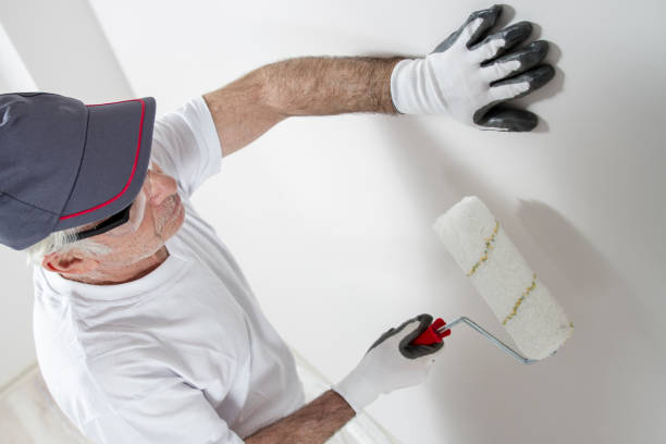 Best Mold-Related Health Consultation  in North Tonawanda, NY