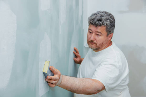 Reliable North Tonawanda, NY Mold Removal Solutions